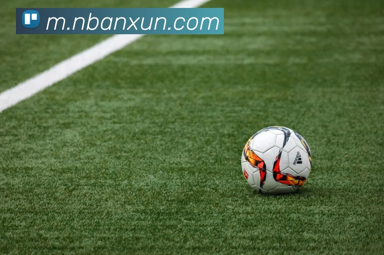 nba投注网站平台生态图