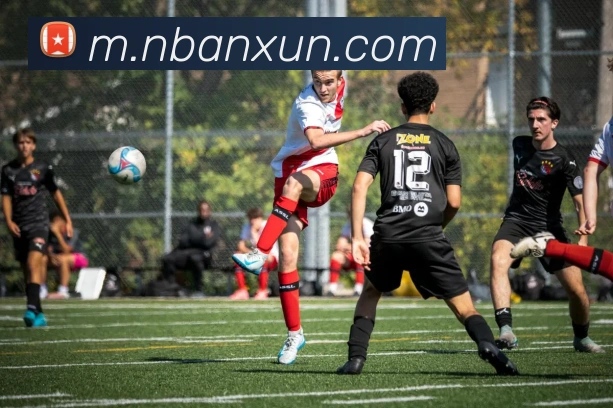 nba投注网站APP 封面图